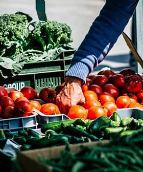 A hand reaching for ripe red tomatoes at a market stall filled with fresh vegetables. - Olive Oil Times