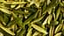 A close-up view of a pile of green and yellow olive leaves arranged together. - Olive Oil Times