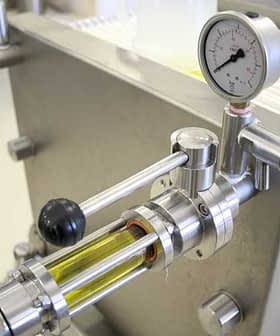 Close-up of oil filtration equipment showing a pressure gauge and transparent tube with liquid. - Olive Oil Times