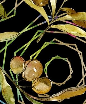 Watercolor illustration of olive branches and olives on a dark background with geometric shapes. - Olive Oil Times