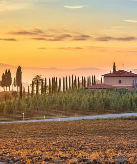 A scenic view of a house surrounded by cypress trees in a Tuscan landscape at sunrise. - Olive Oil Times