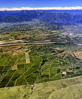 Aerial view showing extensive agricultural fields and mountainous terrain under a clear sky. - Olive Oil Times