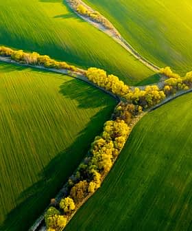 Aerial view of lush green fields intersected by a narrow tree-lined path. - Olive Oil Times