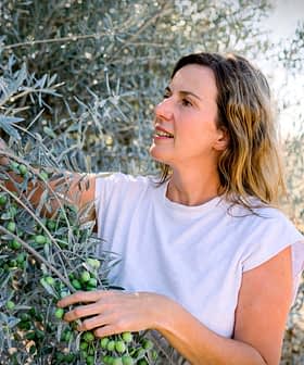 Woman picking olives from a branch of an olive tree in an outdoor setting. - Olive Oil Times