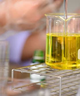 A laboratory beaker containing yellow liquid being filled from a pipette. - Olive Oil Times