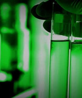 A hand wearing a glove holds multiple test tubes containing green liquid in a laboratory setting. - Olive Oil Times