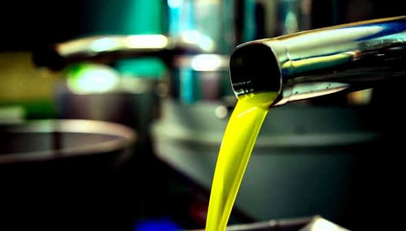 Stream of bright green olive oil pouring from a metal tap into a container. - Olive Oil Times