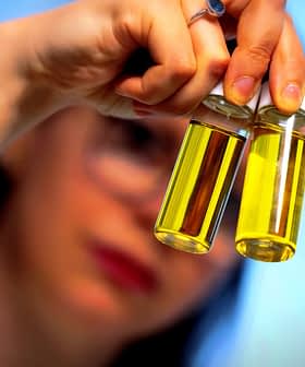 Person holding two small glass bottles containing olive oil with yellow liquid inside. - Olive Oil Times