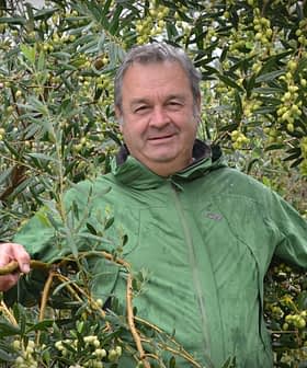 Man wearing a green jacket standing among olive trees with unripe olives. - Olive Oil Times