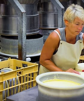 Woman in an apron handling cheese molds in a cheese production facility. - Olive Oil Times