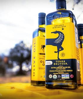 Three bottles of Terra Delyssa organic extra virgin olive oil with a yellow label featuring a horse logo. - Olive Oil Times