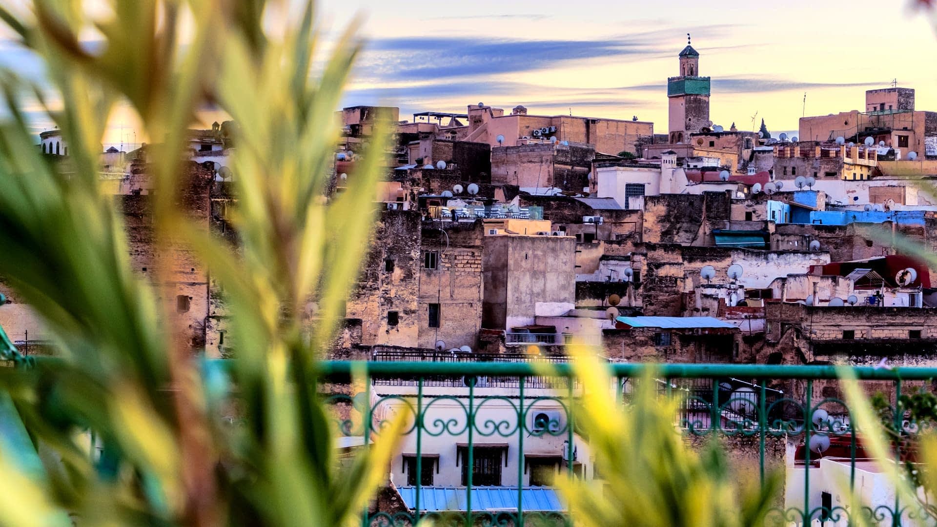 Panoramic view of the Fes Medina with a prominent minaret in the background. - Olive Oil Times