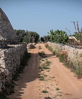 Dirt path flanked by stone walls leading through an agricultural area with greenery. - Olive Oil Times