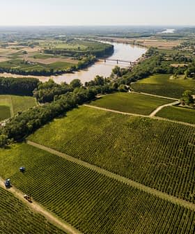 Aerial view of farmland in Gironde, France