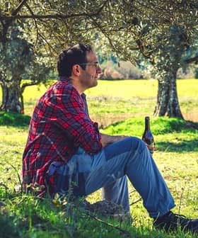 A man in a red plaid shirt sitting on a rock under an olive tree, holding a bottle. - Olive Oil Times