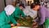 Three individuals sorting leaves on a table in a processing facility. - Olive Oil Times