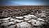 Dry, cracked salt flats with a barren landscape and distant mountains in the background. - Olive Oil Times