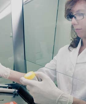 Laboratory technician in a white coat using a pipette to handle samples in a lab environment. - Olive Oil Times
