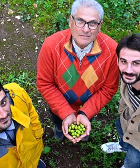 Three men standing together, one holding a bowl of green olives in their hands. - Olive Oil Times