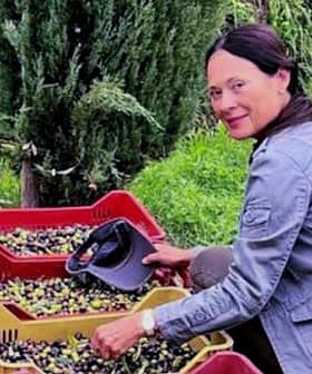 Woman sorting olives in red and yellow baskets in an outdoor setting. - Olive Oil Times