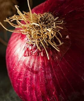 Close-up of red onions with visible roots and skin texture on a surface. - Olive Oil Times