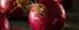 Close-up of red onions with visible roots and skin texture on a surface. - Olive Oil Times