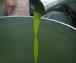 olive oil being made